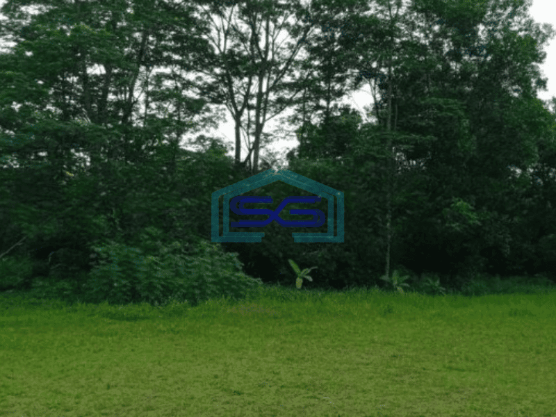 Dijual Tanah Luas 38000 m² Lokasi Strategis di Serpong Tangerang Selatan