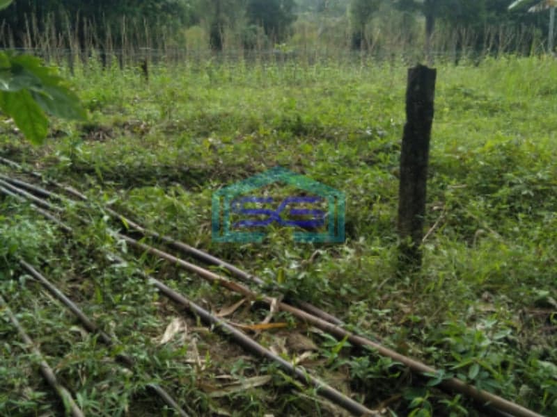 Dijual Tanah Kaplingan Tanjung Barangan Bukit Baru palembang LT 900m2