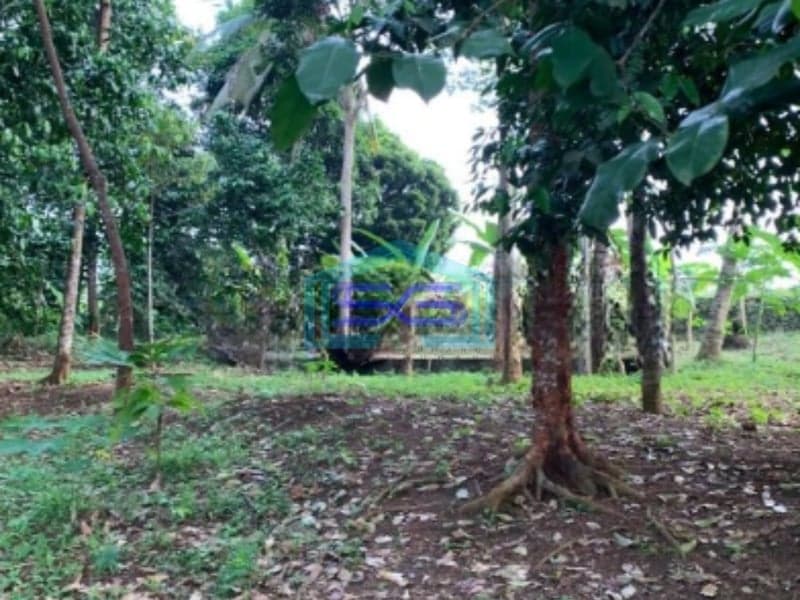Dijual Cepat Tanah Siap Pakai Di Anyer Serang Banten Luas 1509m2