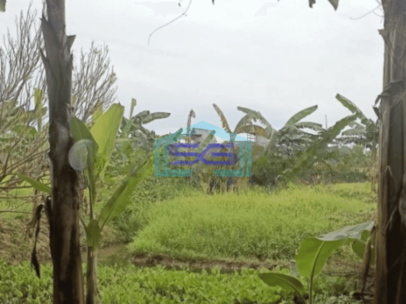 Dijual Tanah 3535m² Ccocok Untuk Pabrik atau Gudang