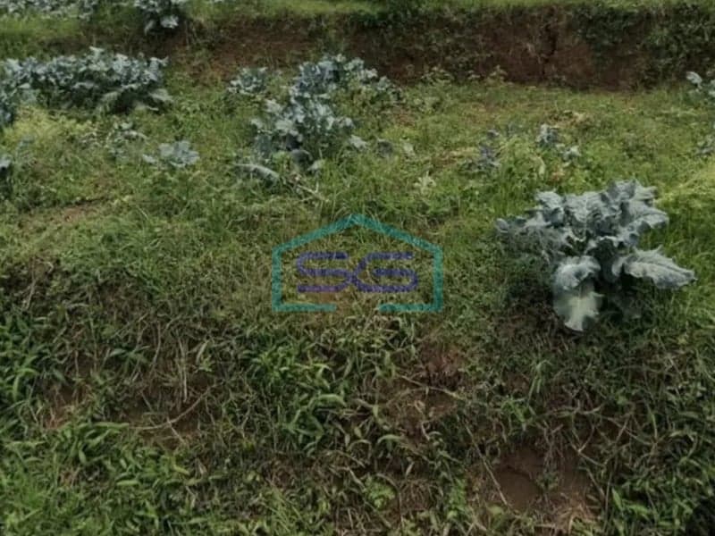 Dijual Tanah Matang Murah di Bandung Jawa Barat Luas Tanah 720 m²