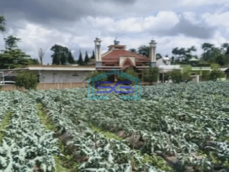 Dijual Tanah Kawasan Lembang Bandung Luas 8750m²