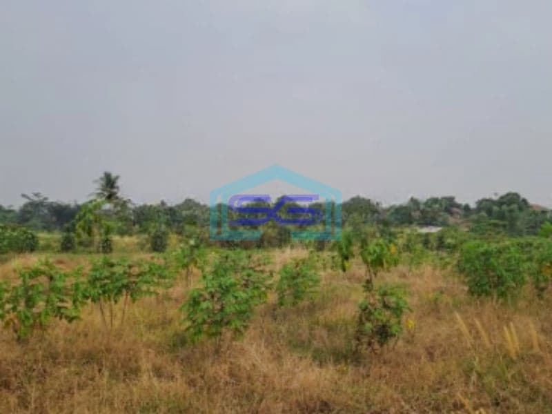 Dijual Tanah Kontur Datar Kemang Pabuaran Bogor Luas Tanah 30000m2