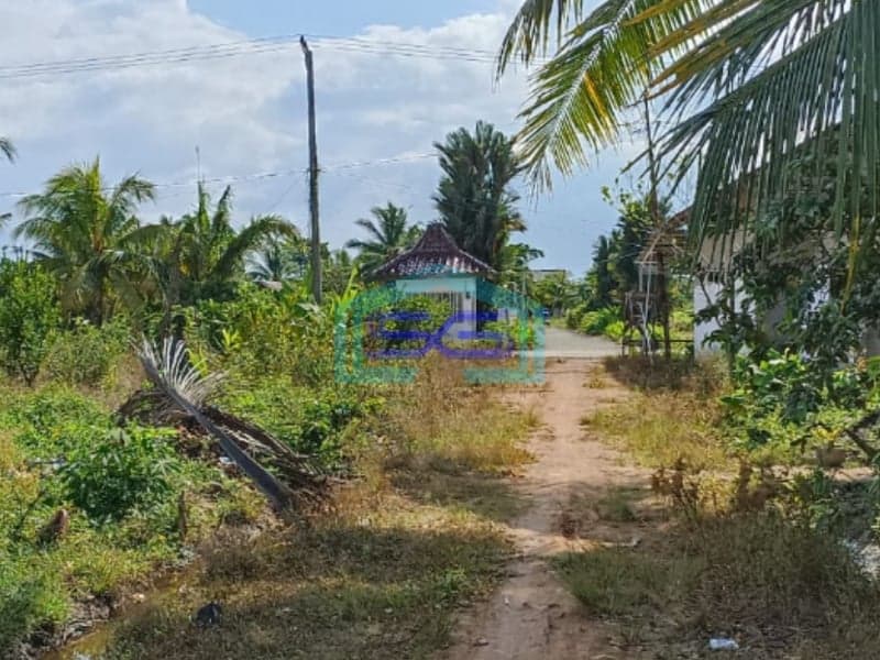 Dijual Tanah Keras Siap Bangun Kawasan Ramai Talang Jambe Palembang Bebas Banjir