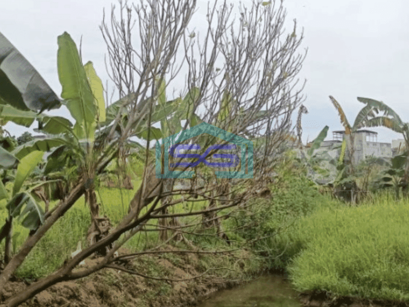 Dijual Tanah Datar bisa bangun Pabrik atau Gudang Luas Tanah 5800 m di Narogong
