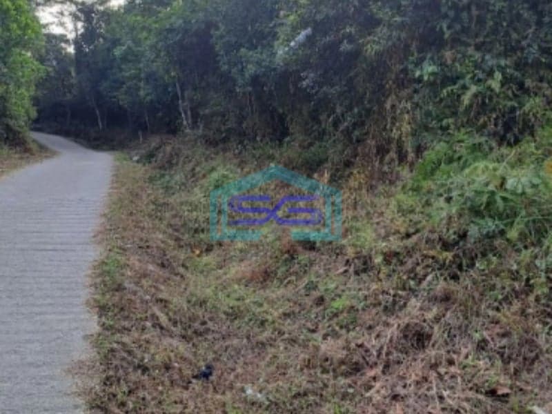 Dijual Tanah Sukajaya Jonggol Bogor Luas Tanah 170000m2