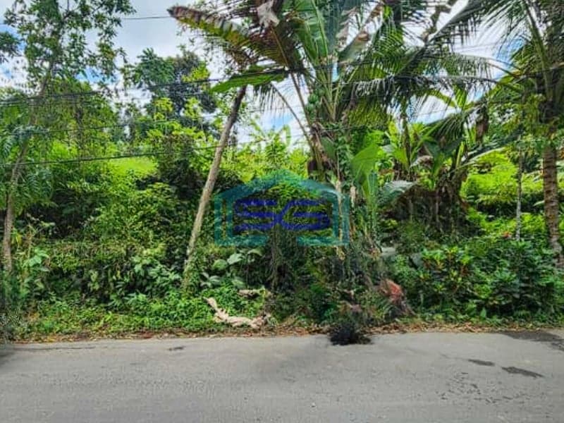 Dijual Tanah Dekat Como Shambhala Ubud Bali Luas Tanah 8900m2