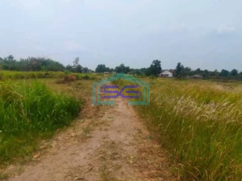 Dijual Cepat Tanah Di Bantar Panjang Tigaraksa Tangerang Luas 1256m2