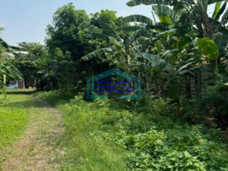 Dijual Murah Tanah Luas 14826m2 SHM Desa Sodong Tigaraksa Tangerang