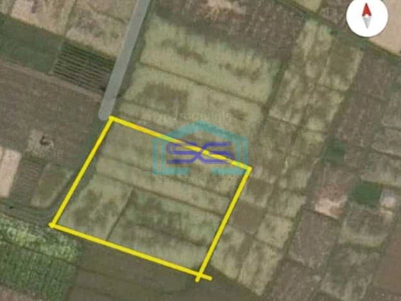 Dijual Tanah Lokasi di Tabanan Bali Luas Tanah 2500m2