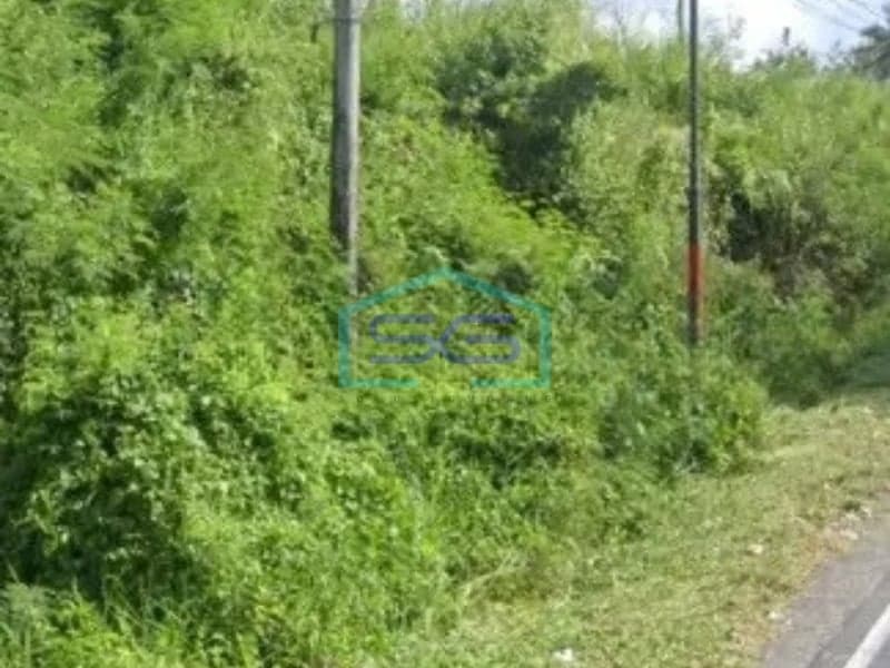 Dijual Tanah 70 Ha Amurang, Minahasa Selatan Sulawesi Utara