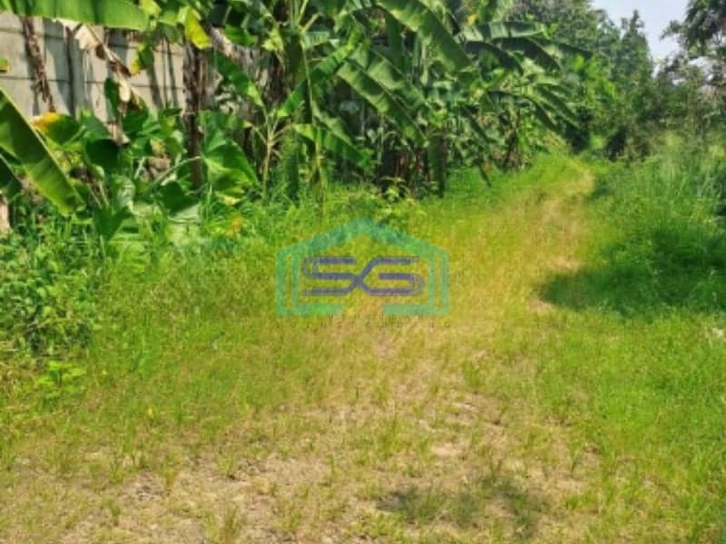 Dijual Tanah di Desa Batu Tulis Nanggung Bogor Luas Tanah 4 Hektar