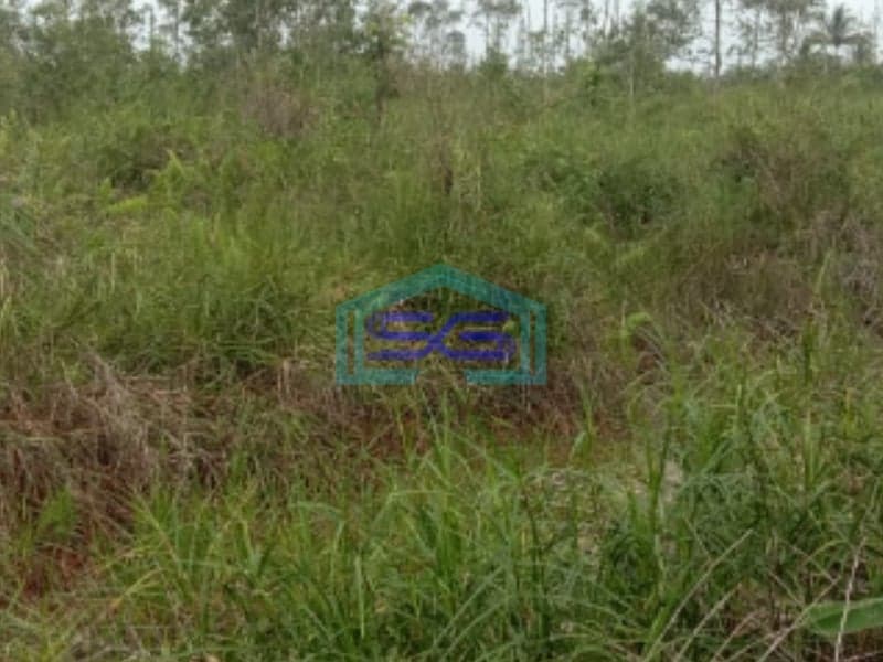 Dijual Lahan Tanah Jalan Tanjung Api Api Km 10 Palembang LT 14 Hektar