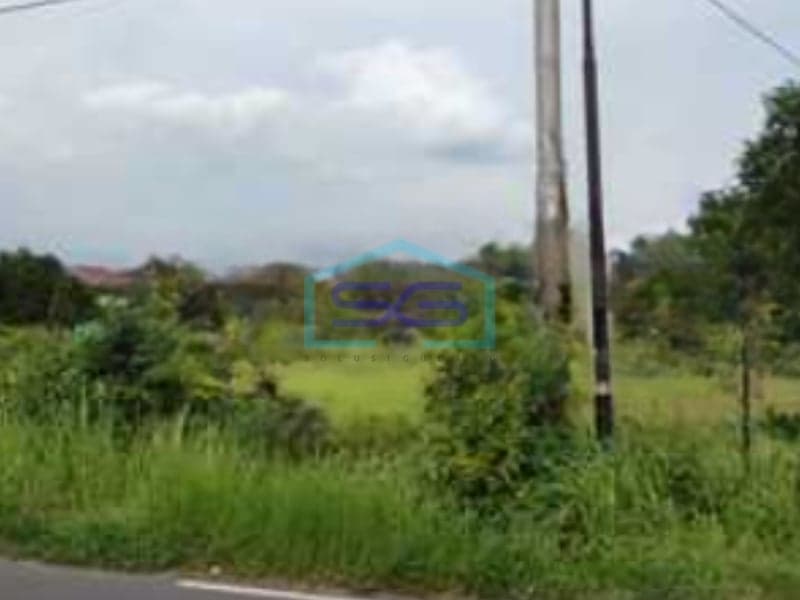 Dijual Tanah 3897 m² Sertifikat SHM Lokasi di Klaten Jawa Tengah