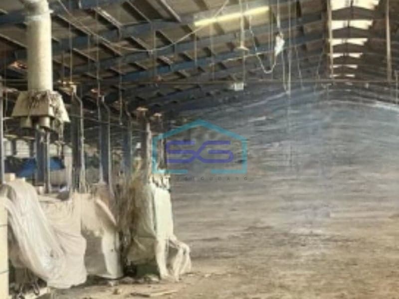 Warehouse for Rent Flood-Free Building Area 25000 sqm Located in Cikande Serang
