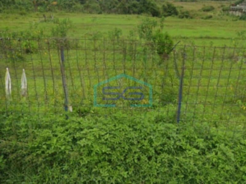Djual Tanah Bebas Banjir Luas 110000 m² Lokasi di Tangerang Banten