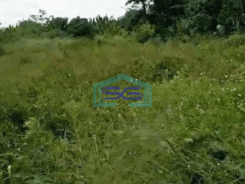 Dijual Tanah Luas 70000 m² di Lego Tangerang Harga Bisa Nego