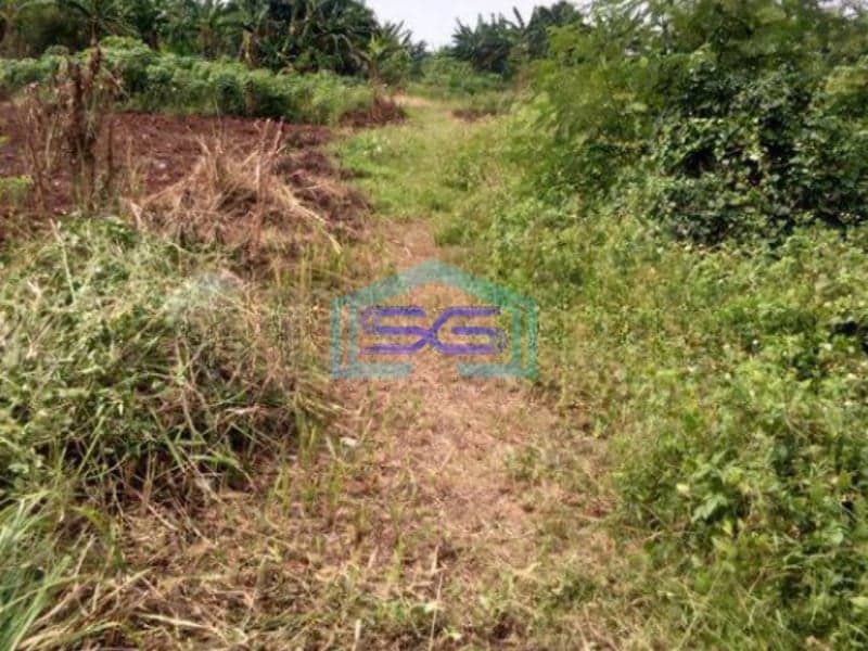 Dijual Tanah di Jalan Siliwangi Tangerang SHM Luas 43370m²