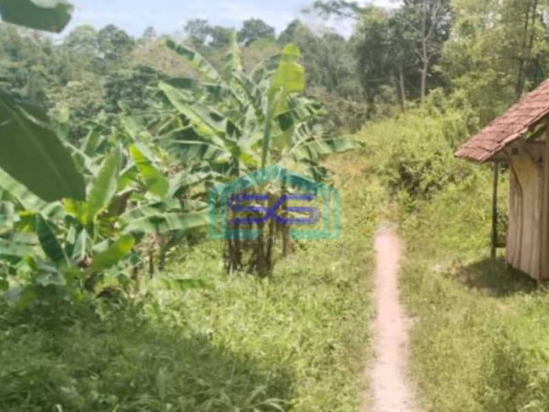 Dijual Tanah di Teluk Betung Timur, Bandar Lampung Luas 9316m2