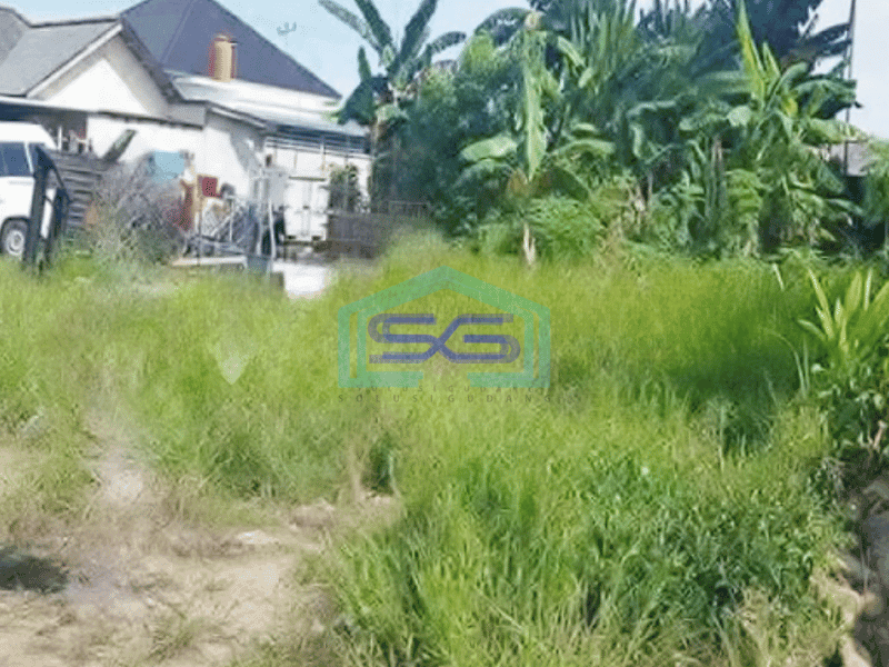 Dijual Tanah Plus Bangunan Walet di Pangkal Pinang, Bangka Tengah