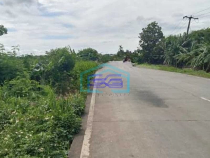 Dijual Tanah Sawah Di Desa Kelebet Kec. Kemiri Kab. Tangerang Luas Tanah  200000 m²