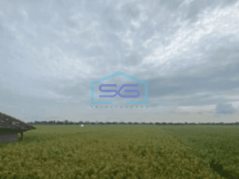 Dijual Tanah di Kertajati Majalengka Jawa Barat Luas 4622m²