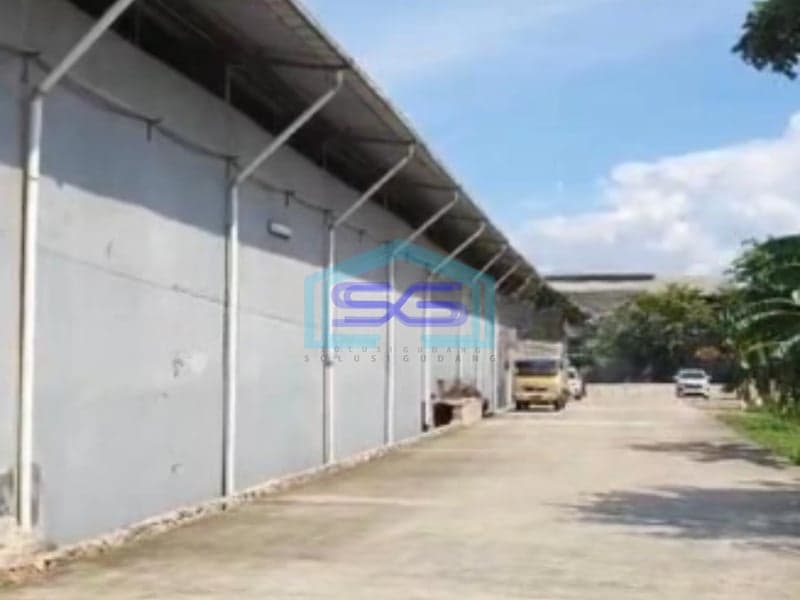 Disewakan di Gudang Kapuk Muara Jakarta Utara LB 425m² Gudang Rapih Siap Pakai Termurah Akses Kontener