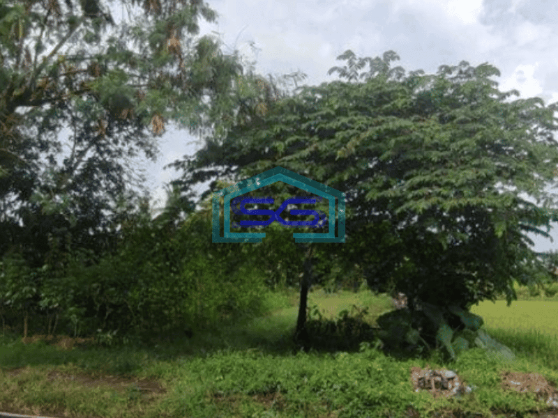 Dijual Tanah Luas 2800 m²  di Kasihan Bantul Yogyakarta