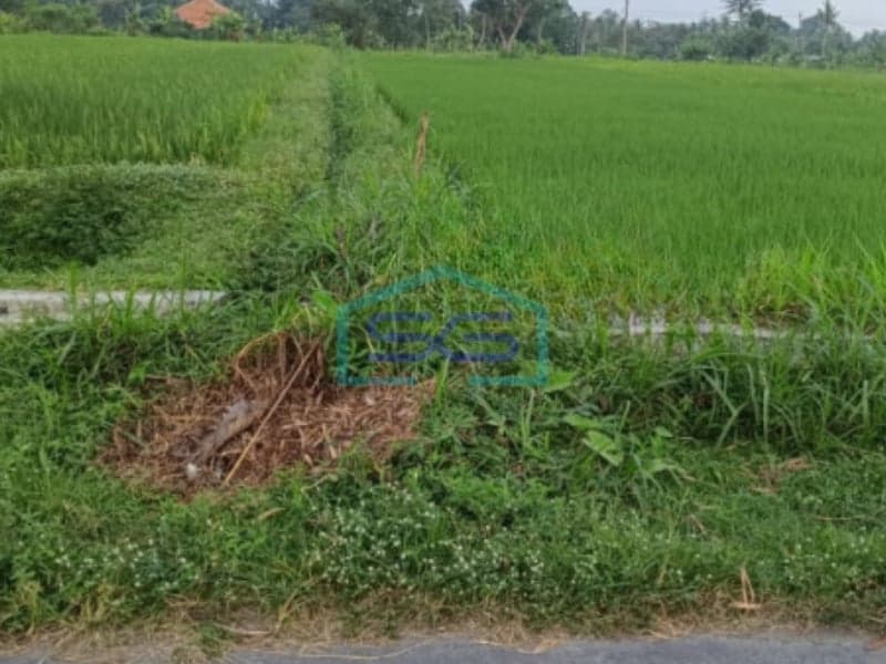 Dijual Tanah Luas 1869m2, Selomartani, Kalasan, Sleman Yogyakarta