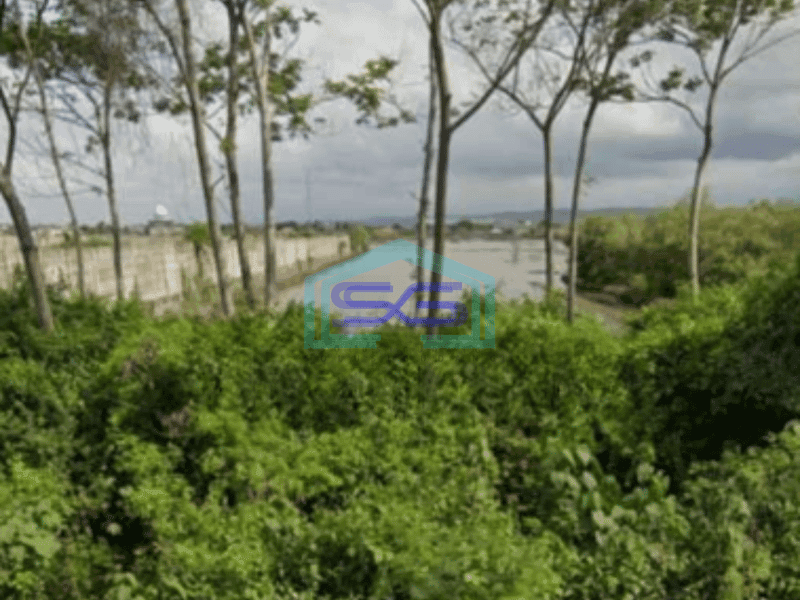 Dijual Tanah Strategis Industri Lokasi Kaliwungu Kendal Luas 2 Hektar