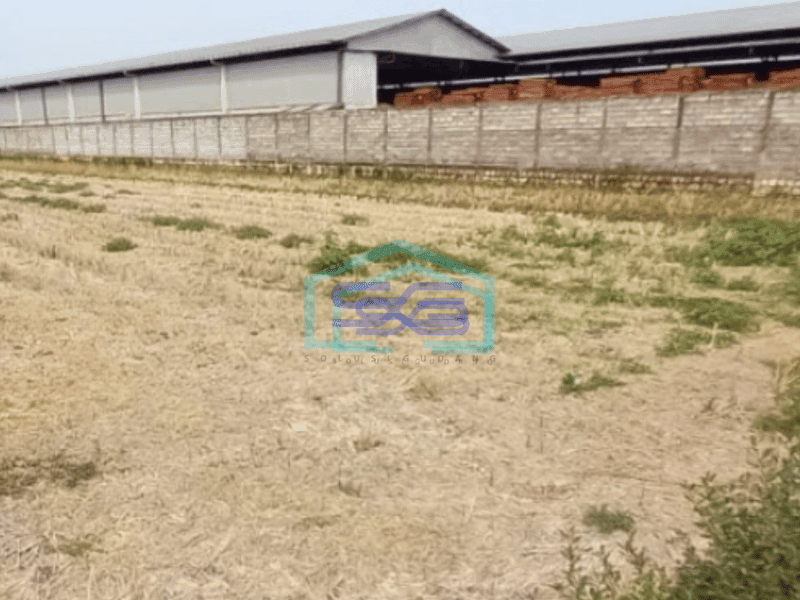 Dijual Tanah di Raya Krembung Jasem Cocok Untuk Kawasan Industri Luas Tanah 2052 m²