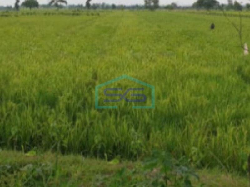 For Sale: Large Land 2146 m² in Sukoharjo, Central Java