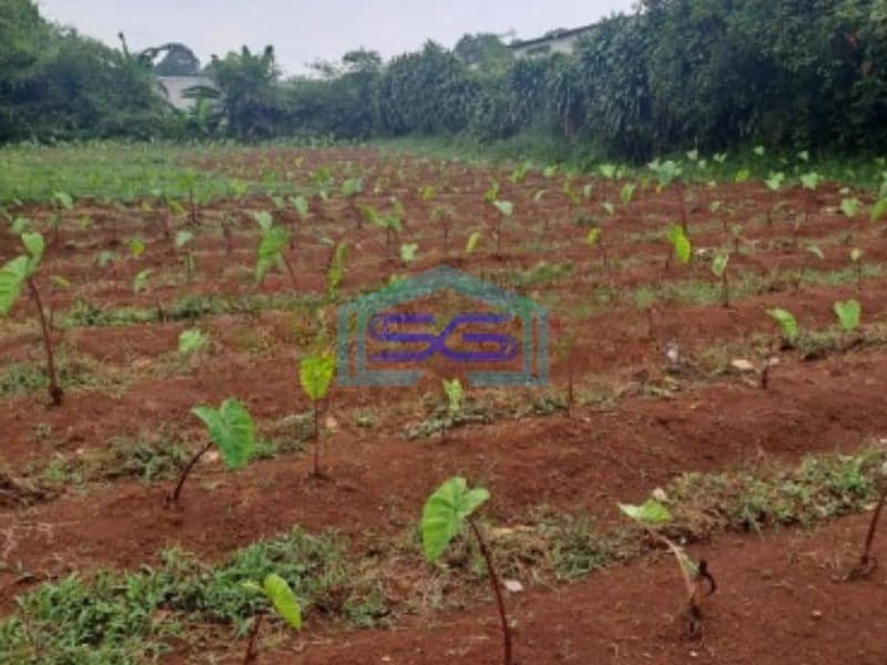 Dijual Tanah Di Tegal Kemang Bogor Lokasi di Pinggiran Kota SHM