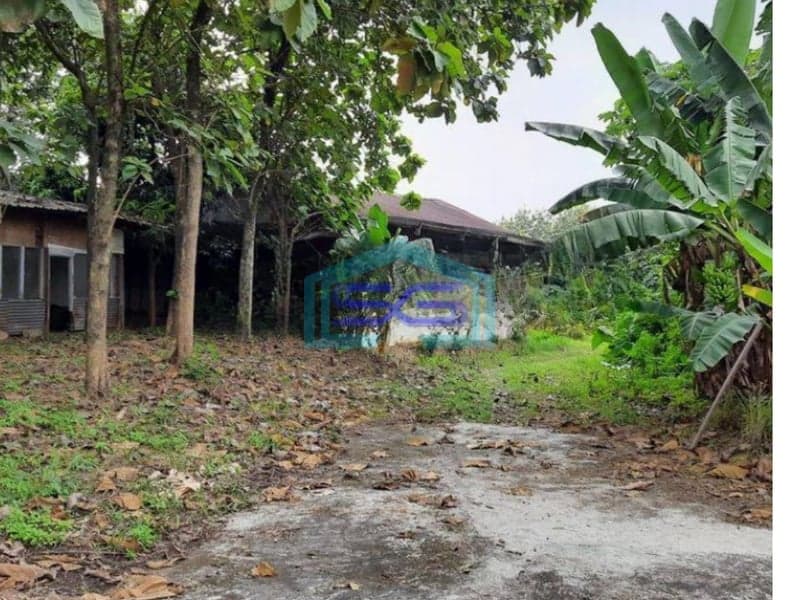 Dijual Tanah LT 62500m2 di Cipanas Lebak Banten