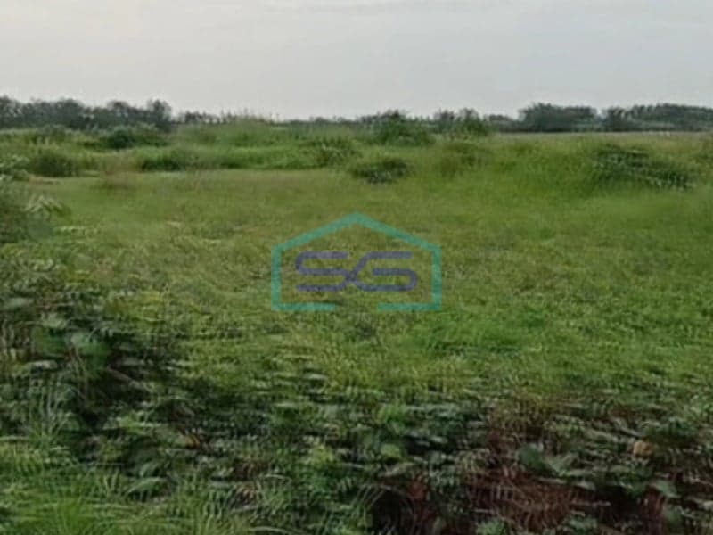Dijual Tanah Luas 5083 m² Lokasi di Kendal Jawa Tengah