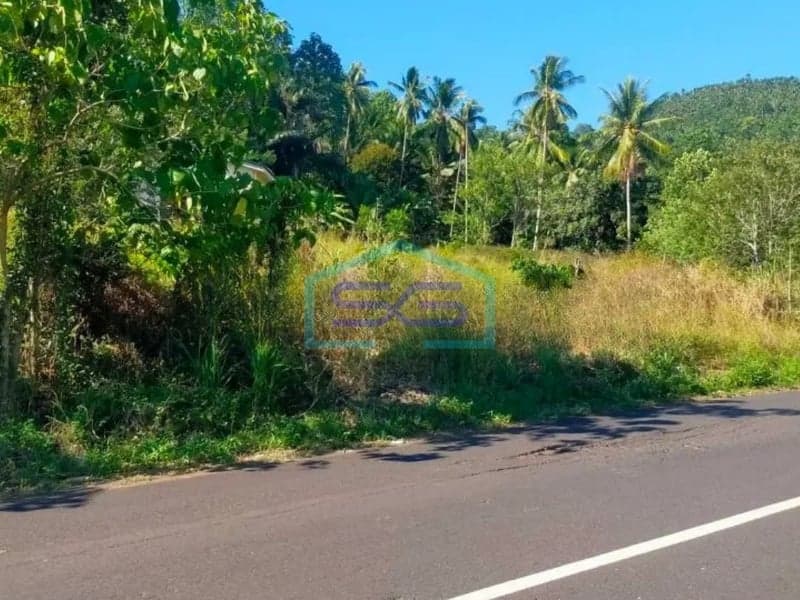 Dijual Tanah 4,6 Hektar Di Manado Sulawesi Utara