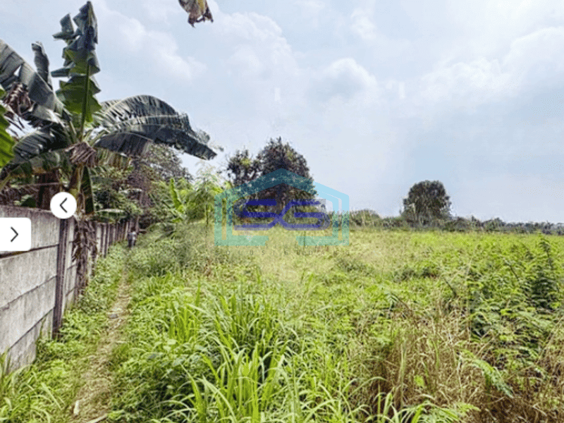 Dijual Kavling Tanah Luas 5900m2 di Jl Raya Nigrat Legok Manungtung Tangerang