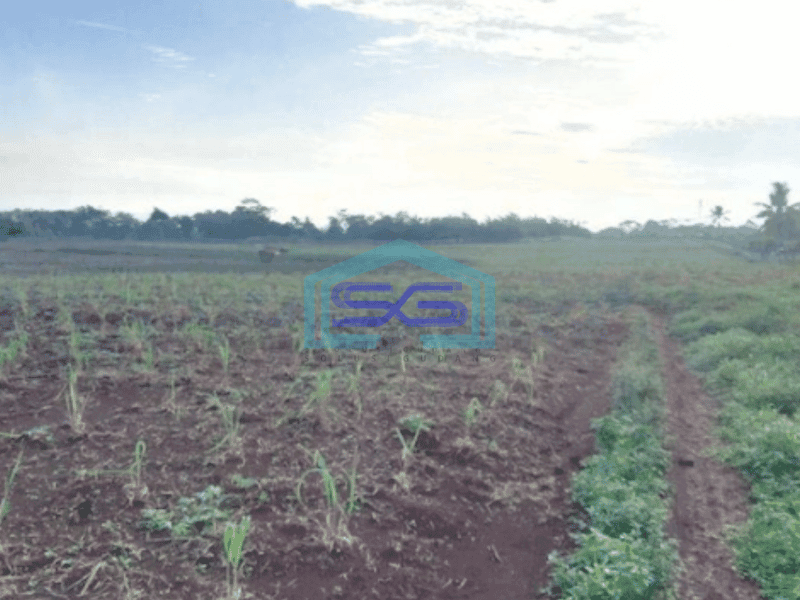 Dijual Tanah Untuk Industri - Cocok Buat Pabrik dan Pergudangan di Ciganea Purwakarta