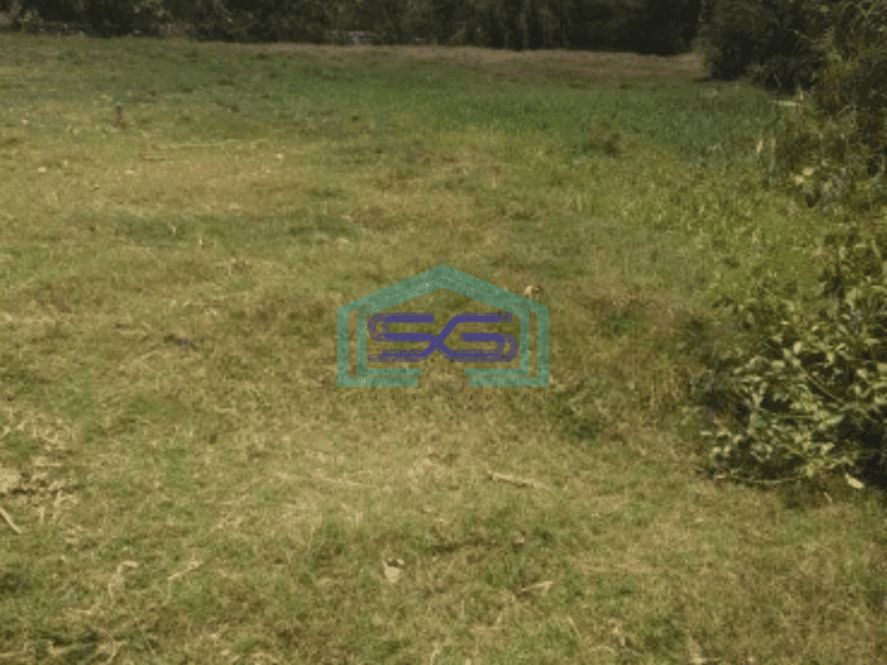 Dijual Tanah di Seminyak Badung Bali