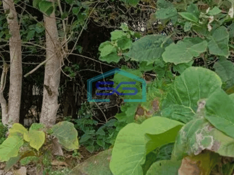 Dijual cepat nett tanah jalan utama Cigadung Dago, kota Bandung