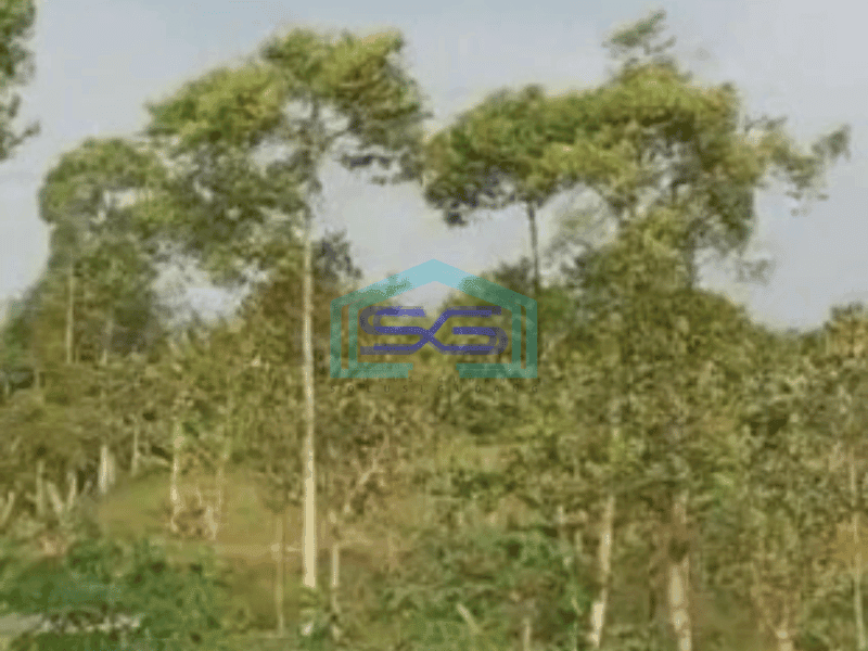 Dijual Tanah Di Cibiru Bandung Luas Tanah 10000m2