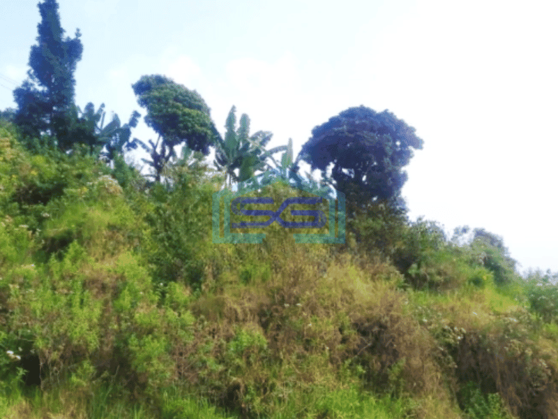 Dijual Tanah Bojong Koneng Dekat Proyek Intiland Mayapada Luas Tanah 10000m2