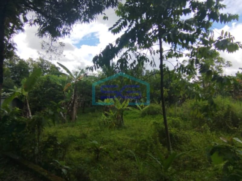 Dijual Tanah Lokasi Denggung Tridadi, Sleman LT 2.369 m2
