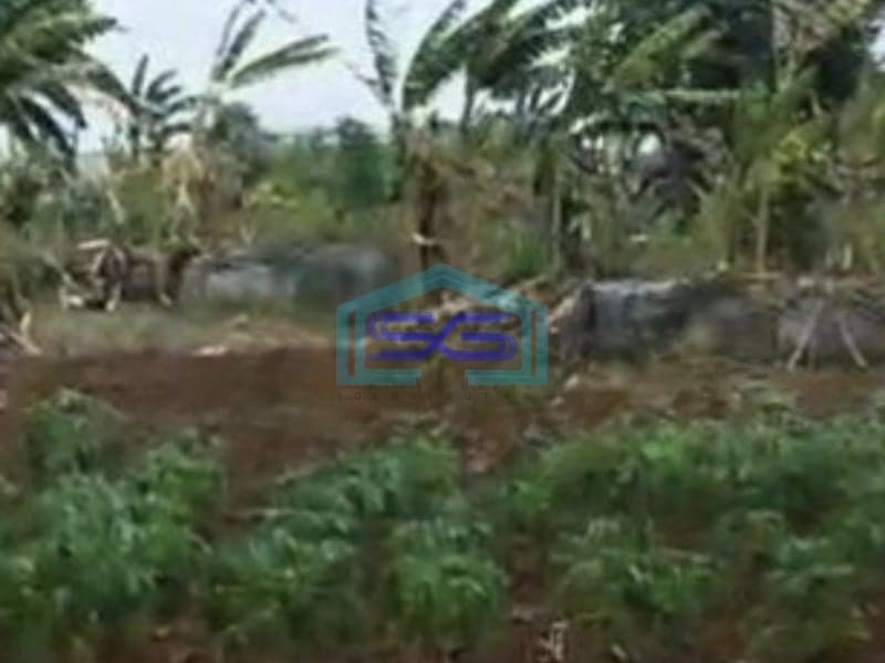 Dijual Tanah di Ds. Kuta Jaya, Pasar Kemis Tangerang Banten