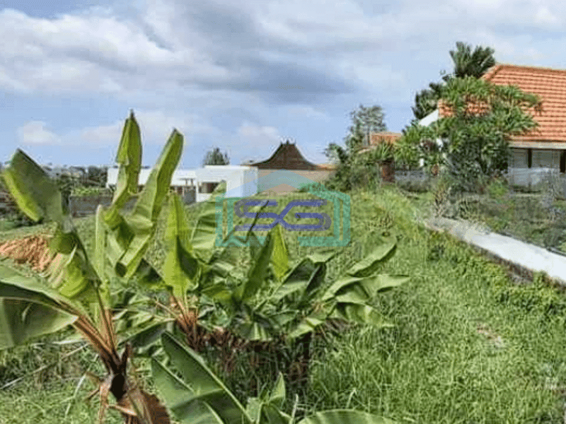 Disewakan Tanah Padat View Sawah Tibubening Canggu Badung Bali LT 1860m2