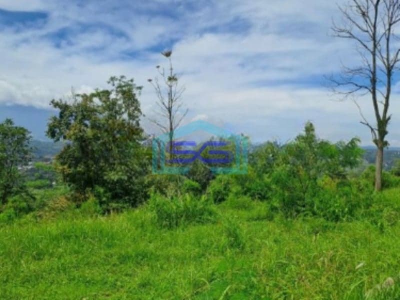 Dijual Tanah Sangat Bagus Di Desa Pasir Angin Bogor Luas Tanah 10200m2