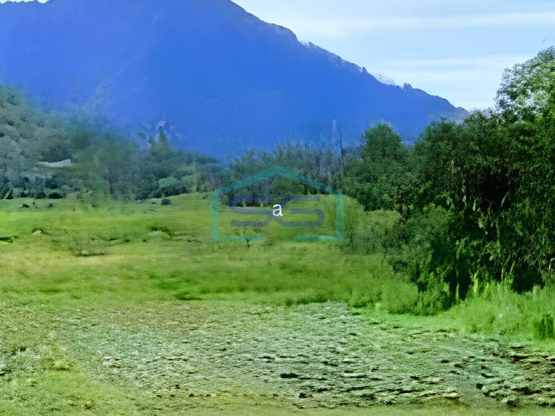Dijual Tanah di Gesing, Bedugul Bali Luas Tanah 2.000 m2