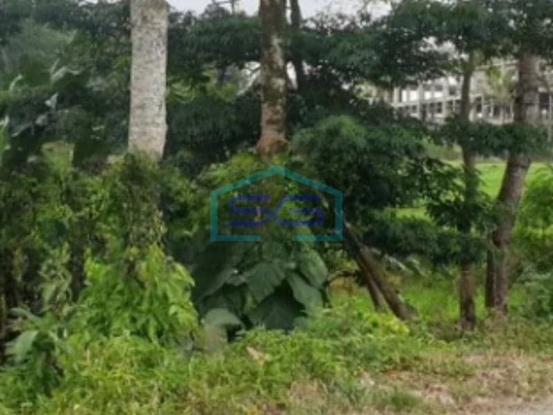 Dijual Tanah Lokasi di Karanganyar Luas 2300 m²