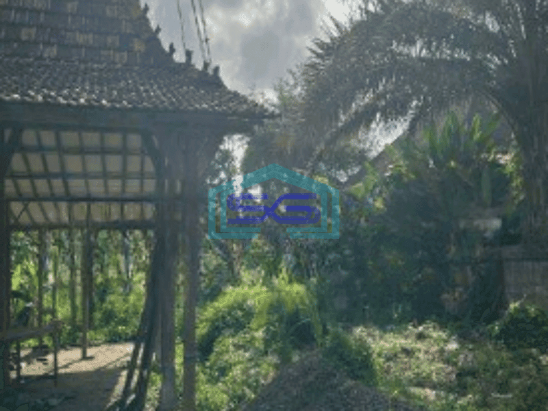 Dijual Tanah Pinggir Jalan Raya di Ubud Bali