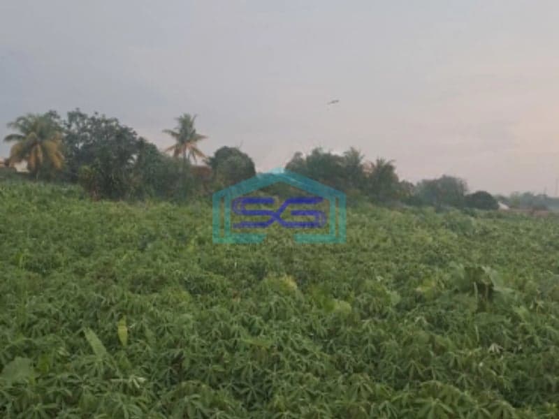 Dijual Tanah Di Jalan Salabenda Raya Kemang Bogor Luas Tanah 40000m2